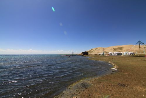 青海湖沙岛