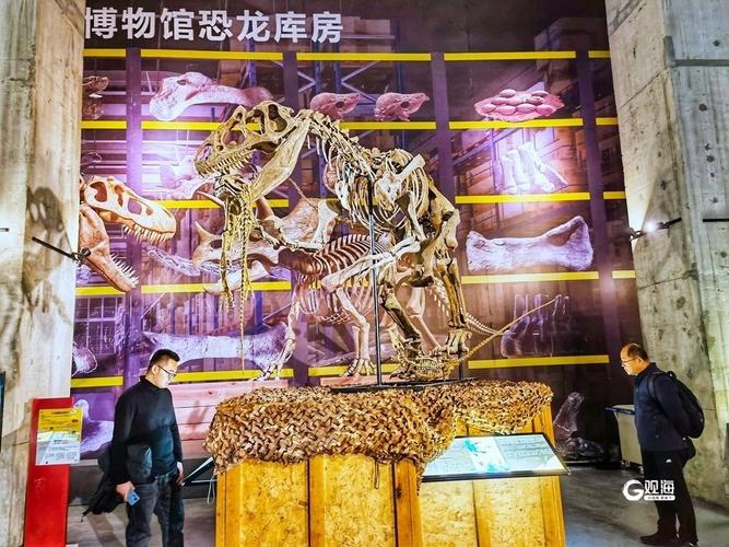 观海新闻记者来到位于山东大学青岛校区博物馆的《生存61探索:恐龙