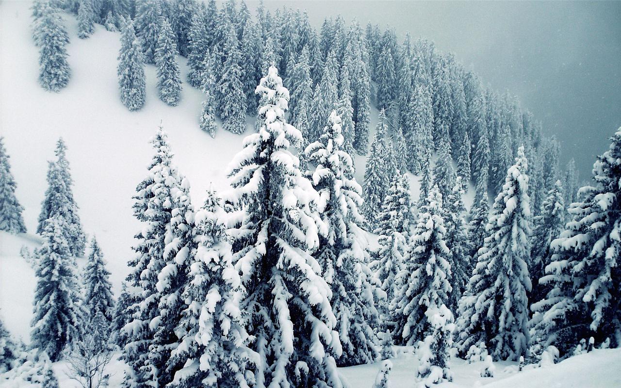 精选银装素裹好看的冬天下雪美丽雪景高清风景图片电脑桌面壁纸
