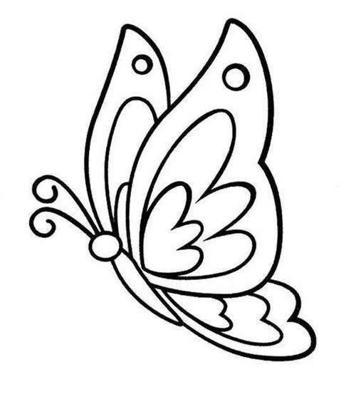 怎么画_小蝴蝶简笔画画法步骤教程怎么画一只蝴蝶的简笔画画法教程