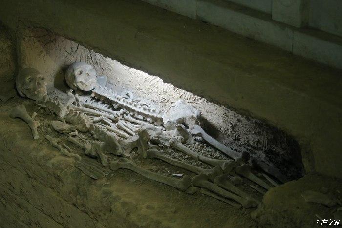 好吧,下到地下,这个墓里不仅有两具尸首白骨,还出土了大量青铜器,象牙
