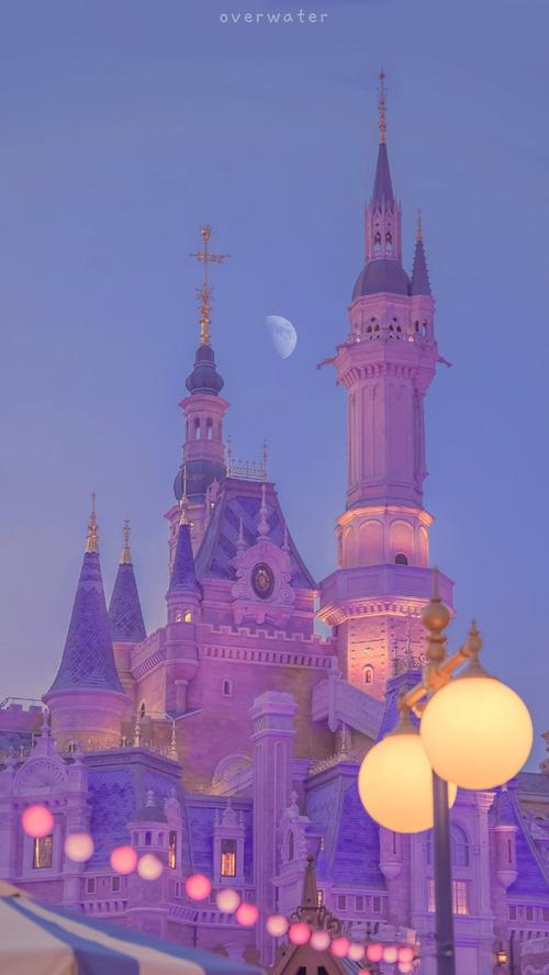 已解决求求迪士尼夜景图没有放烟花纯城堡那种