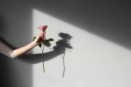 手握花手握玫瑰的雌手在灯光背景下照片