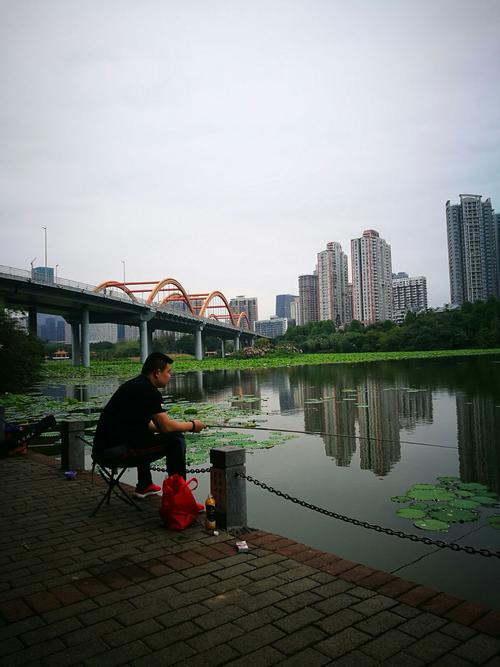 洪湖公园——深圳市内钓鱼休闲的好地方