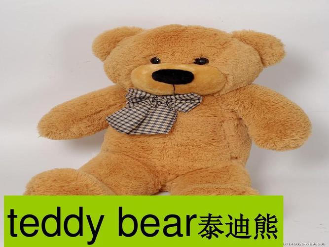 冀教版四年级英语上册英语 teddy bear泰迪熊