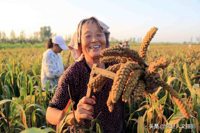 《农民丰收节》20张照片见证农民丰收的场景 临汾的秋天绚烂多彩