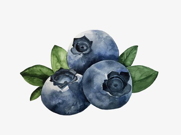 手绘卡通水果蓝莓