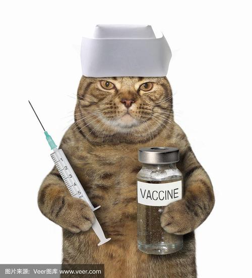 猫医生用注射器