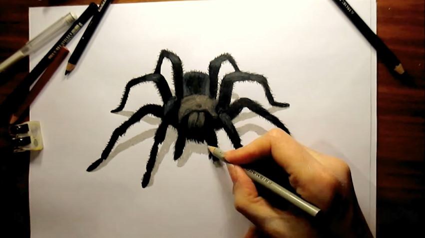 来画超简单的3d暗黑版蜘蛛手绘制作教程