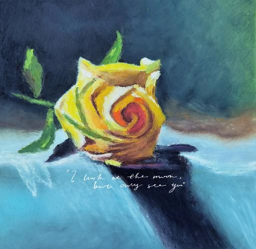油画棒临摹45丹可林8月夏日黄玫瑰