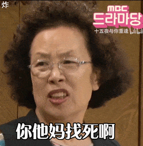 韩国大妈罗文姬表情包gif图54张|靓女上线