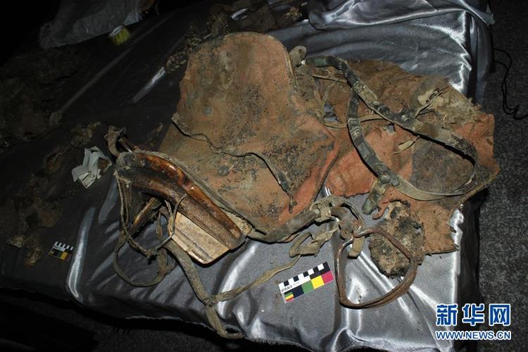 蒙古国发掘千年干尸 尸身罕见完整