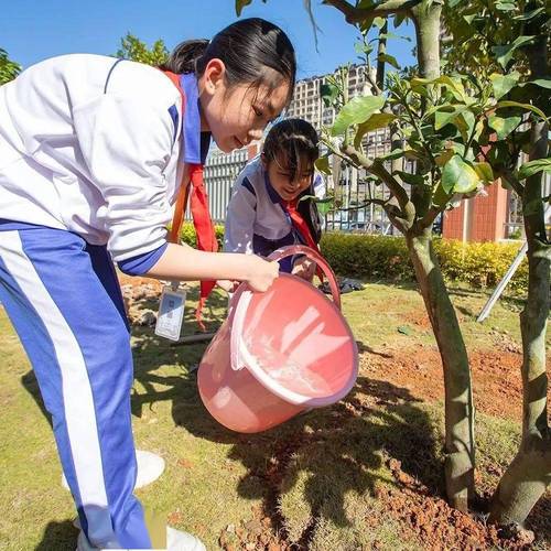 龙湖区各中小学校开展植树节系列主题活动
