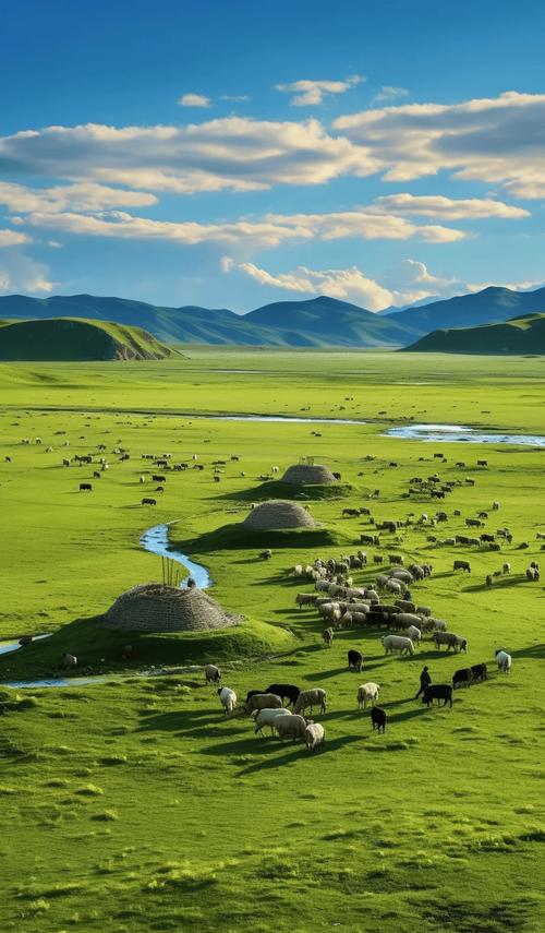 内蒙古旅游跟团还是自由行好内蒙古金牌导游小亚带你畅玩内蒙古草原
