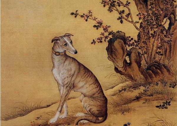 古代最会玩的皇帝乾隆皇帝的十只猎犬全都高昂凶猛