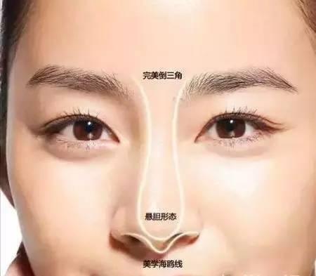 鼻部美学标准:什么样的鼻子才好看?