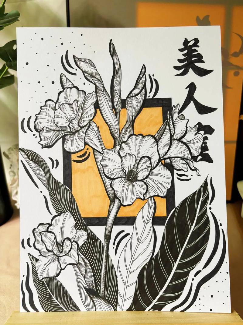 美人蕉|花卉线描