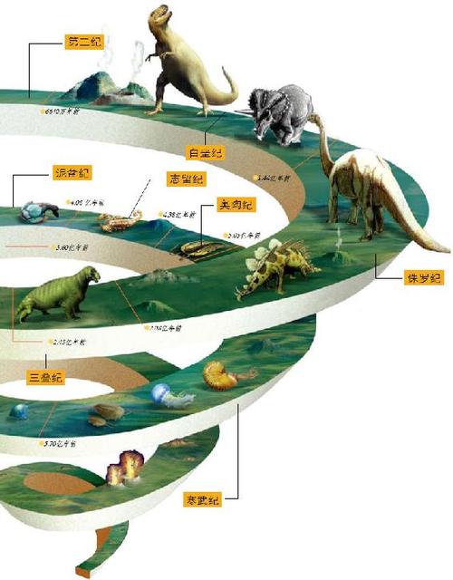 动物进化历程 - 文稿网
