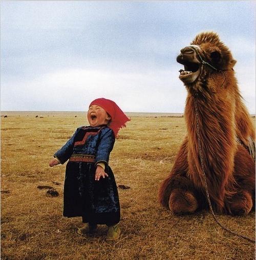 求一幅画(或者照片)来源,一个小女孩和骆驼在草原上一起笑,很有感染力