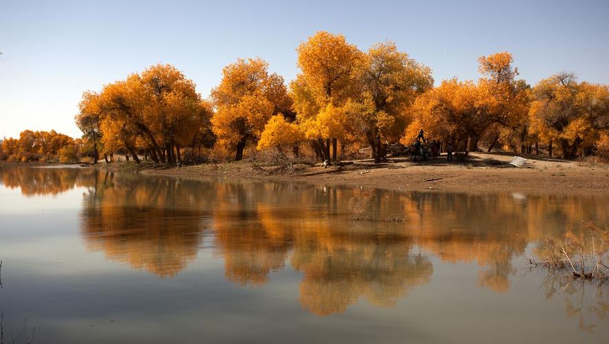 内蒙古阿拉善戈壁大漠额济纳胡杨林掠影 - 自然风景 - 环球数码摄影网