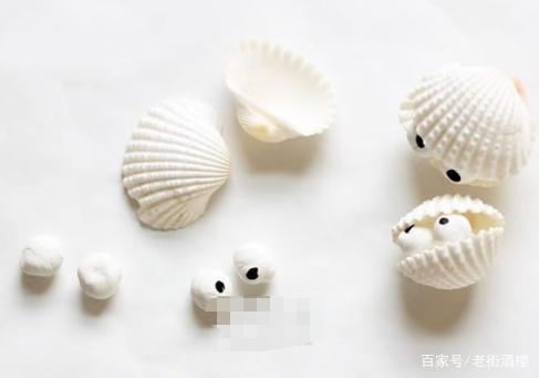 粘土和贝壳手工制作可爱的海洋生物