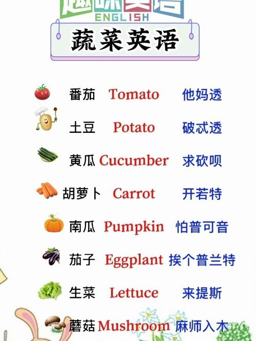 蔬菜英语