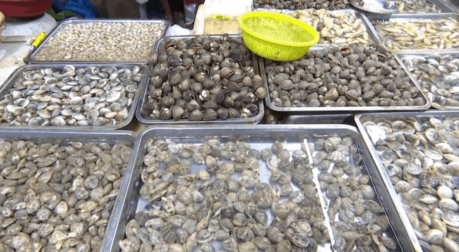 岱山县伏休期推出12种特价水产品 还有这些贝类走俏市场|贝类|鱼|海鲜