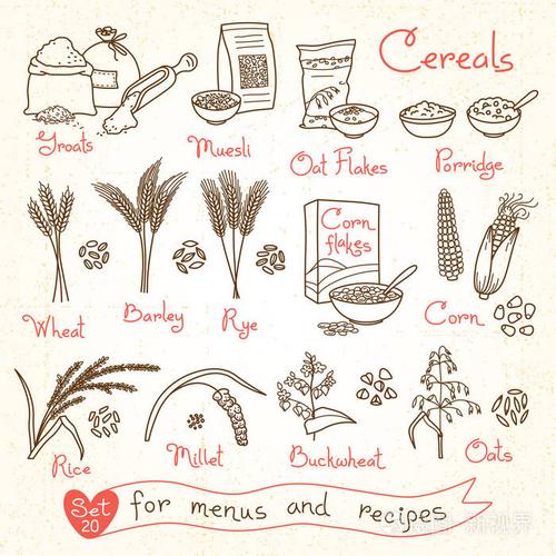 插画 设置图纸设计菜单, 食谱和包装谷类食物.