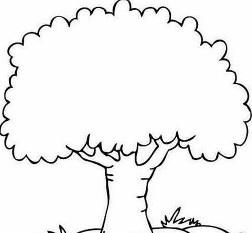 卡通 矢量 树木 可爱 简笔画蓝天白云大树的儿童画简笔画大树怎么画