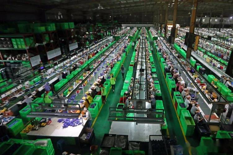 越南未来的世界玩具工厂