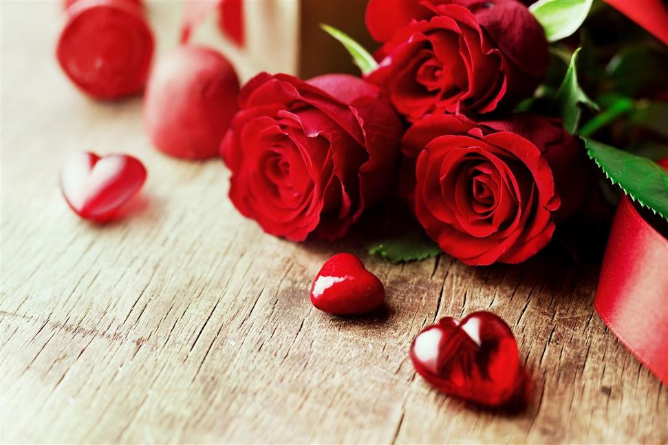 漂亮玫瑰花桌面壁纸_唯美的爱情玫瑰花