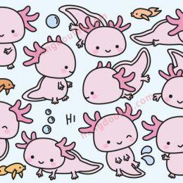 粉红色的六角恐龙宠物简笔画大全有关两栖动物简笔画的内容就分享到