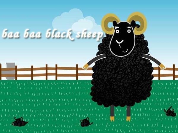 black sheep 中文意思是什么?