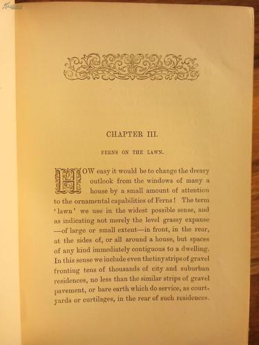 蕨类天堂thefernparadise书页侧面三面烫金封面和书脊烫金字体