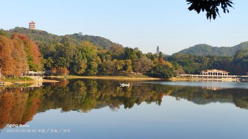 广州麓湖公园的美景
