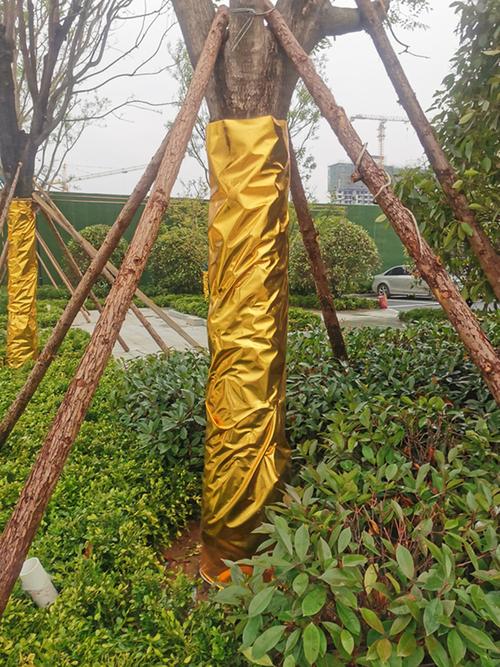 金布包树烫金布料烫金布料包柱子褶皱包树金布包墙装饰金色婚庆节日