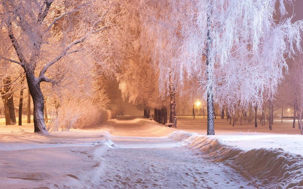 冬天的唯美夜晚雪景