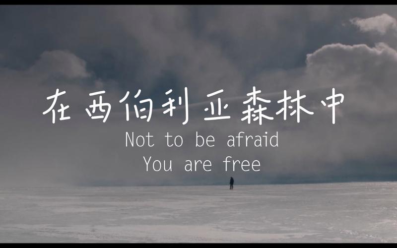 【电影】"not to be afraid ,you are free"在西伯利亚森林中