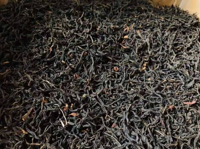 生红茶云南凤庆滇红红茶原始森林里的古树茶古树红茶红茶