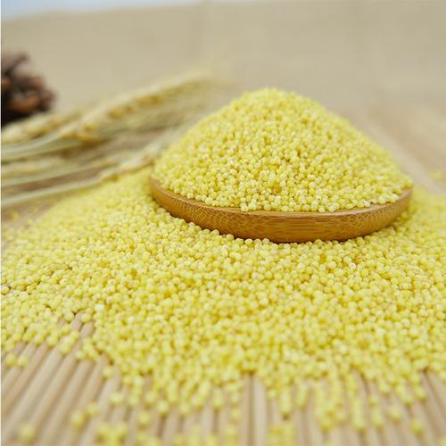新作物带壳黄小米与良好的制造商