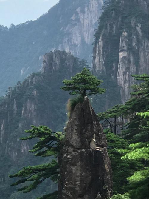这是黄山的景观之一,梦笔生花——这是一棵长在山峰顶端的黄山. .