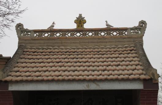 图1 甘肃平凉一带民居屋脊上的鸽子(图片来源:裴强强提供)