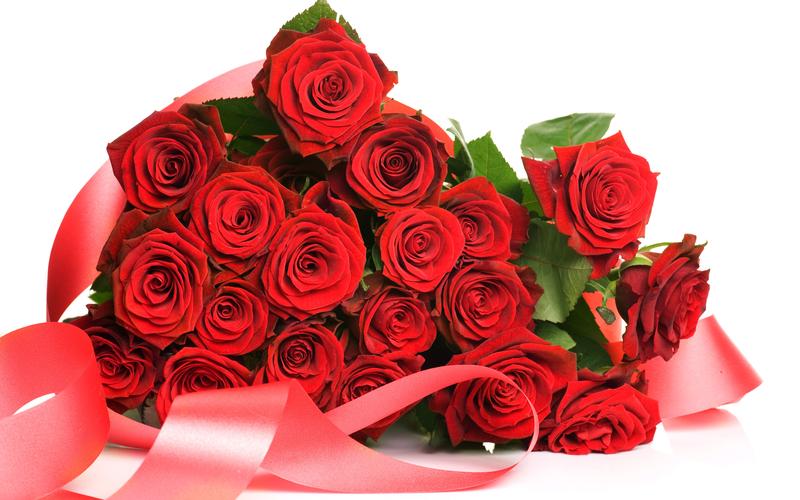 情人节唯美浪漫鲜艳红玫瑰花高清特写桌面壁纸(三)