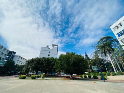 近70年历史的漳州艺术学校回归漳州市区2021年9月招生