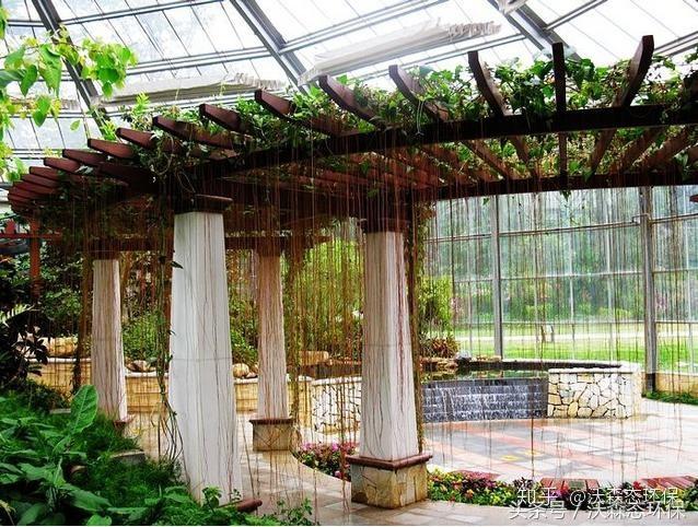 如何用铝制花架廊架打造属于自己的紫藤花园