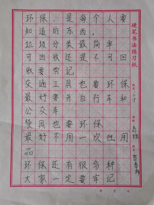 襄汾县第二小学校"美丽中国-我是行动者"环保书画主