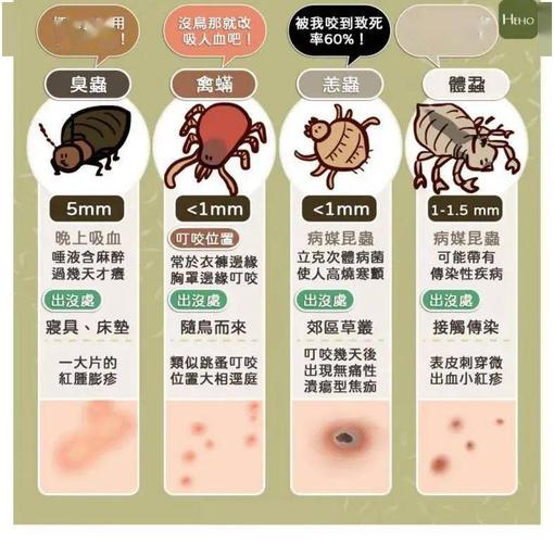 了解了这些夏季常见的虫咬皮炎,我们应该要怎么应对呢?如何预防?