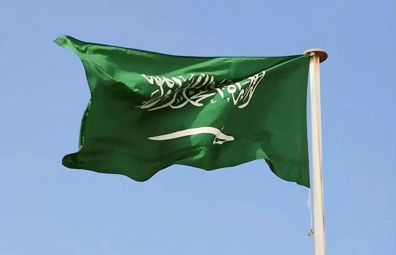 全球几乎所有国家都能降半旗,只有这两个阿拉伯国家不能降_沙特_国旗