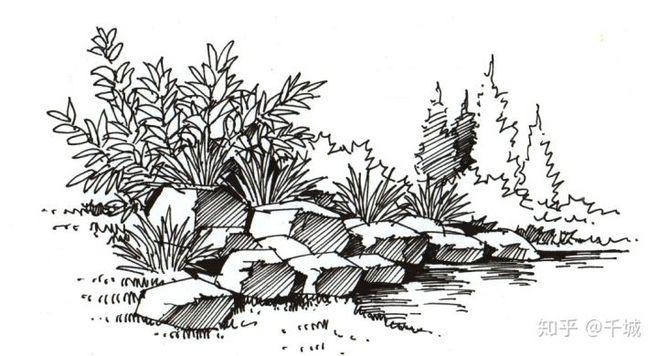 手绘景观手绘灌木植物配景钢笔画简单手绘景观景观乔木线稿景观简笔画