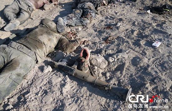 叙利亚反对派武装遭政府军埋伏致62人死亡(图)